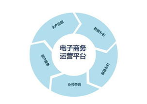 企業(yè)建設(shè)電子商務(wù)網(wǎng)站時要考慮哪些問題