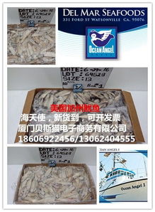 美國加州魷魚與海天使 電子商務的新藍海